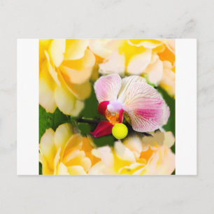 Rosa Orchidee mit Tennisball Postkarte