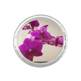 Rosa Orchidee  Ring