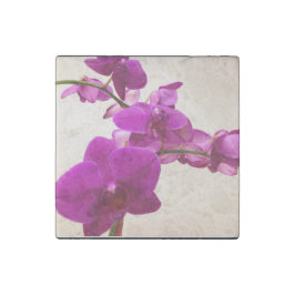 Rosa Orchidee  Steinmagnet