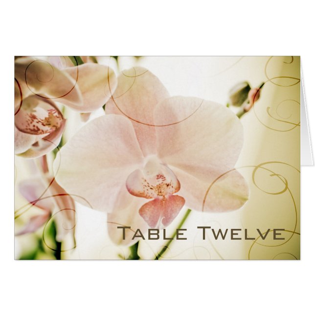 Rosa Orchidee • Tabellen-Karte (Vorderseite (Horizontal))