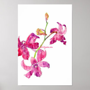 Rosa Orchideen-Baby-Blumenskizze-Plakat-Druck Poster