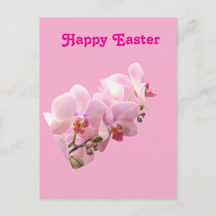 Rosa Orchideen “Frohe Ostern” Postkarte
