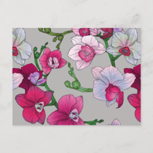 Rosa Orchideen im Blut Postkarte