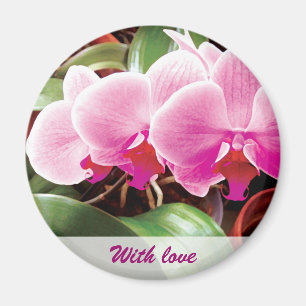 Rosa Orchideen-Magnet Magnet