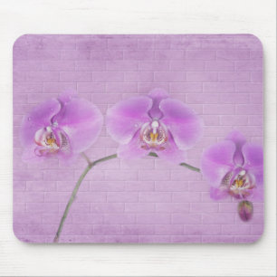 Rosa Orchideen Mousepad