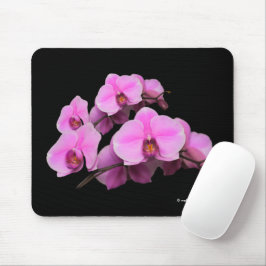 Rosa Orchideen Phalaenopsis Blume auf Schwarz Mousepad