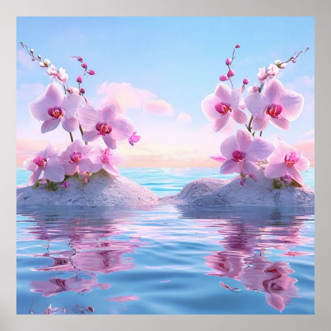 Rosa Orchideen Poster (Vorne)