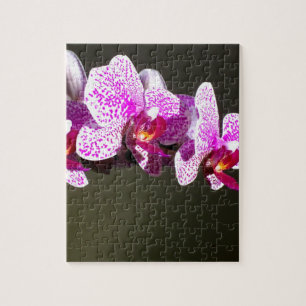 Rosa Orchideen Puzzle