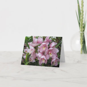 Rosa Orchideenkarte Karte