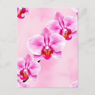 Rosa Orchideenmuster Tropisches Florales Weiches P Postkarte