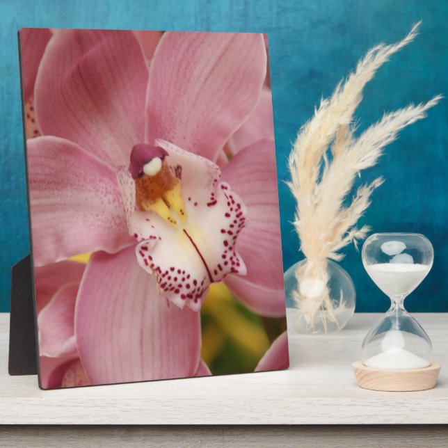 Rosa Orchids Plaque Fotoplatte (Seite)