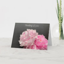 Rosa Pantoletten mit Textraum, die an Sie denken