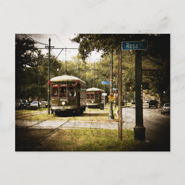 Rosa Park Drive Streetcars Postkarte (Vorderseite)