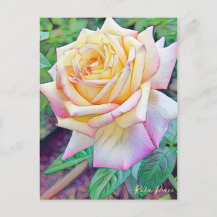 Rosa Peace [Postcard] Postkarte