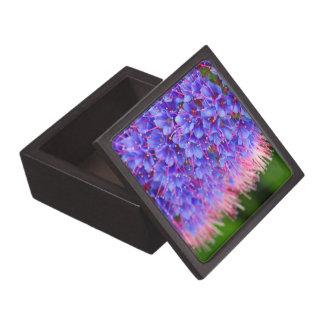 Rosa peitscht erstklassige Geschenkboxen Schachtel