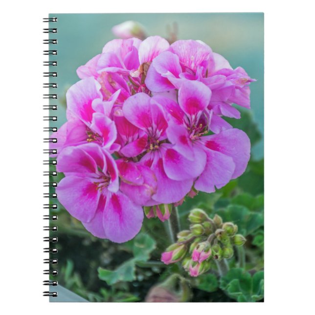 Rosa Pelargonienotizbuch Notizblock (Vorderseite)