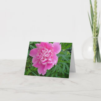 rosa peonie Blumennotecard Sammlung Karte