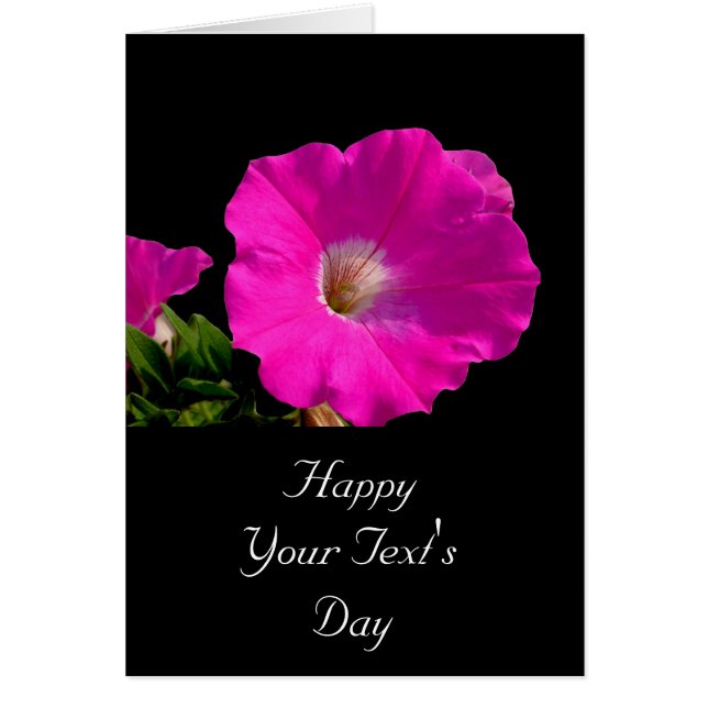 Rosa Petunia-Blume (Vorne)