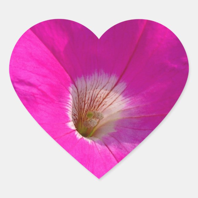 Rosa Petunia-Blume Herz-Aufkleber (Vorderseite)