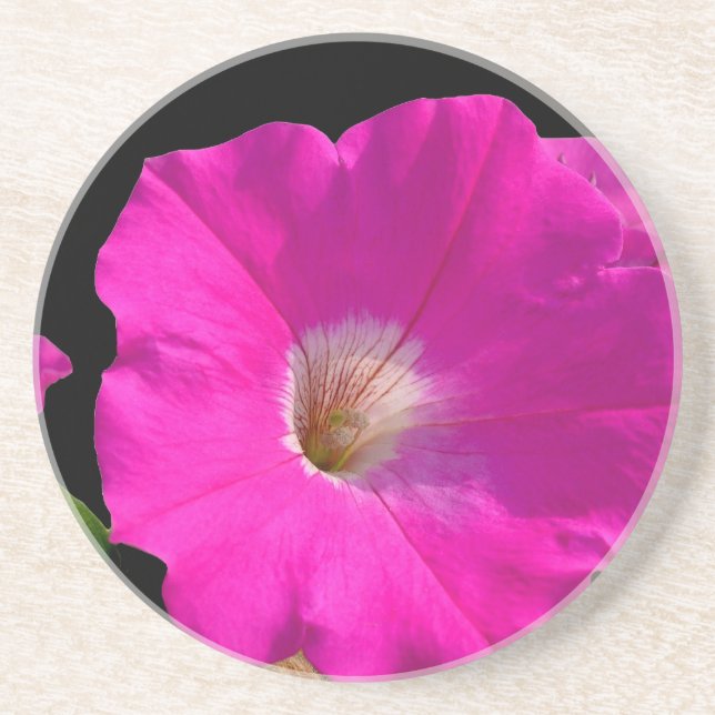 Rosa Petunia-Blume Untersetzer (Vorne)