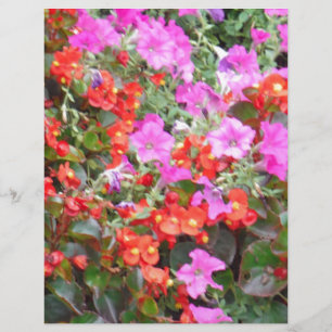 Rosa Petunien und rote Geranien
