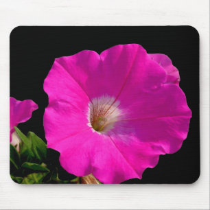 Rosa Petunienblüte Mousepad