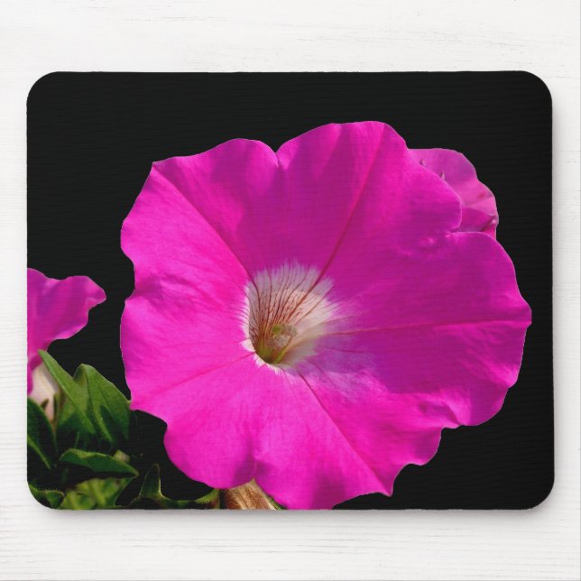 Rosa Petunienblüte Mousepad (Vorne)