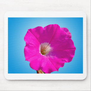 rosa Petunienblüte vor blauem Hintergrund. Mousepad