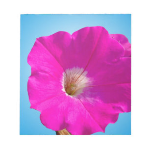 rosa Petunienblüte vor blauem Hintergrund. Notizblock