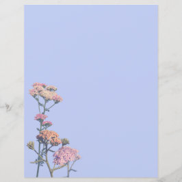 Rosa Pfeile auf lila Hintergrund