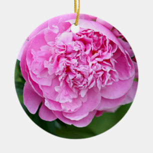 Rosa Pfingstrose Keramikornament