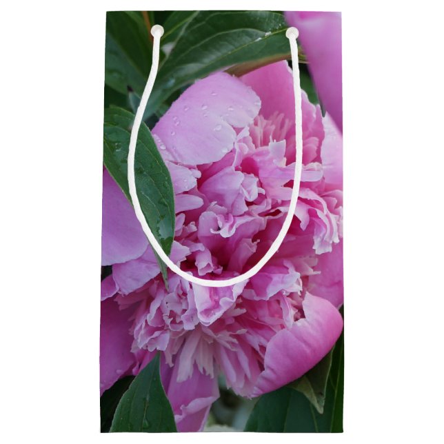 Rosa Pfingstrose Kleine Geschenktüte (Vorderseite)