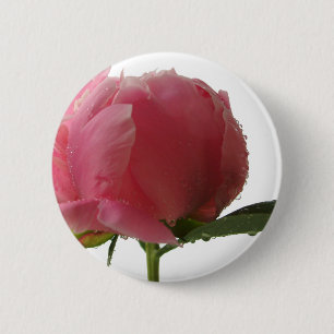 Rosa Pfingstrosen-Blüte Button