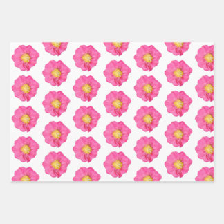 Rosa Pfingstrosen-Botanik-Flachblatt-Geschenkverpa Geschenkpapier Set