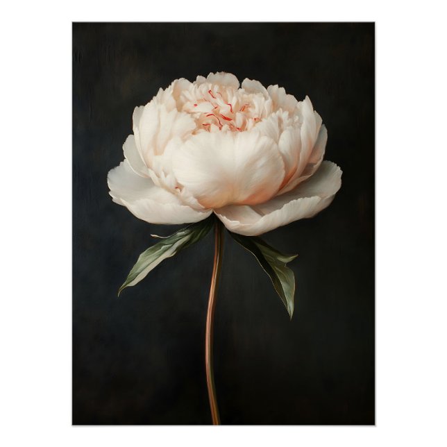 Rosa Pfingstrosen-Botanik-Gemälde Poster (Vorderseite)