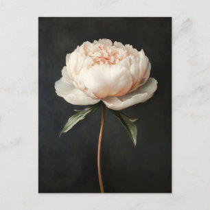 Rosa Pfingstrosen-Botanikmalerei Postkarte