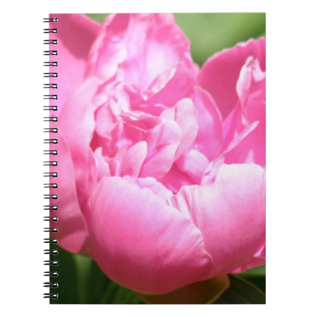 Rosa Pfingstrosen-Notizbuch Notizblock (Vorderseite)