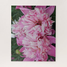 Rosa Pfingstrosen Puzzle