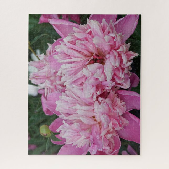Rosa Pfingstrosen Puzzle (Vertikal)