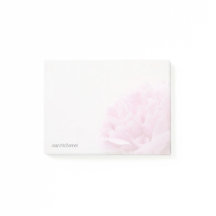 Rosa Pfingstrosenansicht verblassen