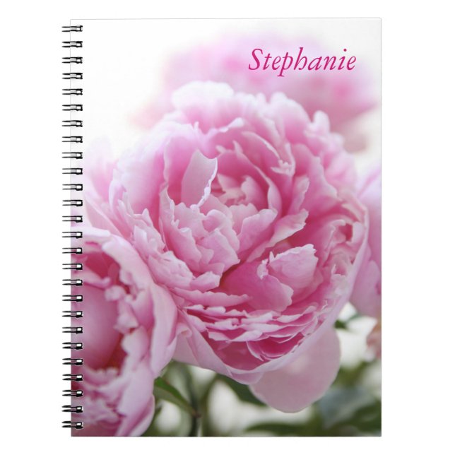 rosa Pfingstrosennotizbuch Notizblock (Vorderseite)
