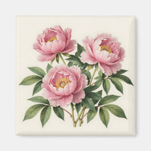 Rosa Pfingstrosenstrauß Vintage-Botanikillustratio Magnet