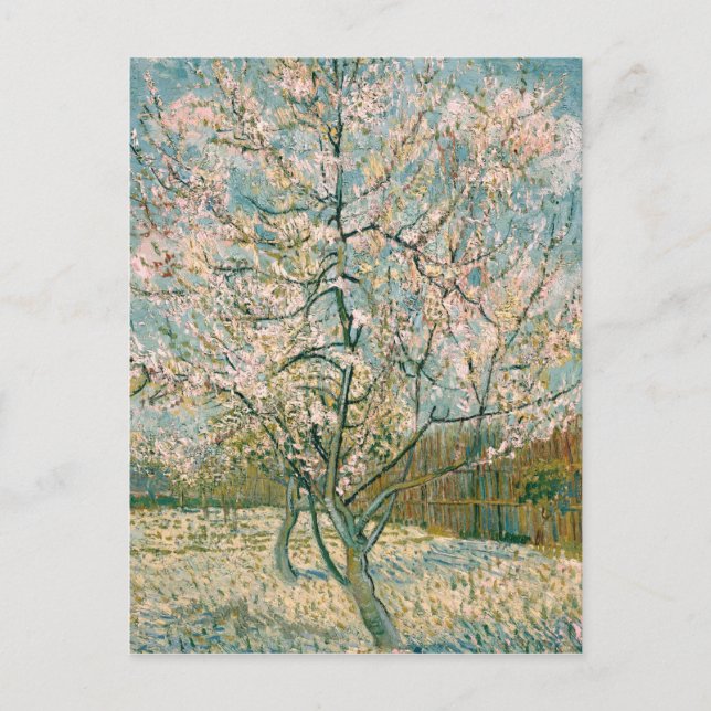Rosa Pfirsich-Baum Van Gogh in der Blüte (F404) Postkarte (Vorderseite)
