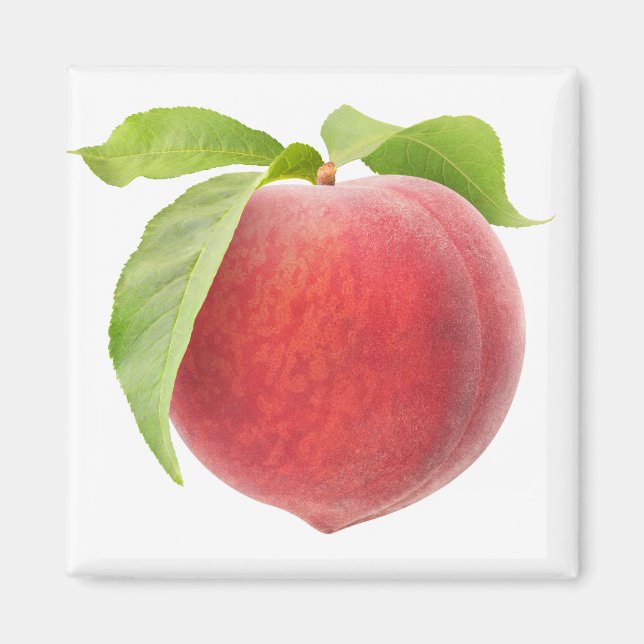 Rosa Pfirsich Magnet (Vorne)