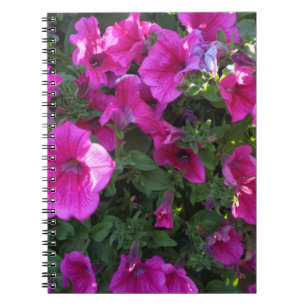 Rosa Pflanze Notebook Notizblock