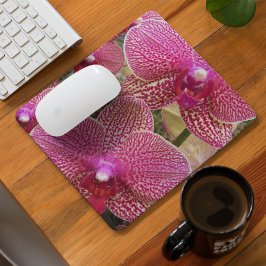 Rosa Phalaenopsis Orchids Floral Mousepad