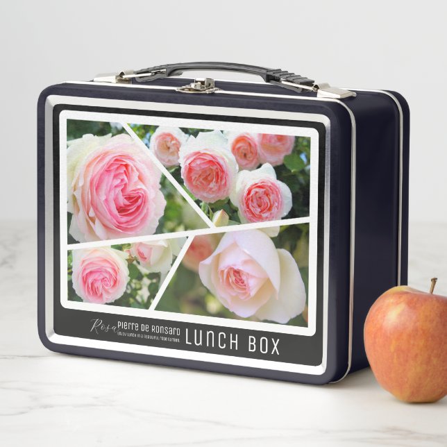 Rosa Pierre de Ronsard Metall Brotdose (Beispiel)