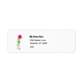 Rosa Pink 