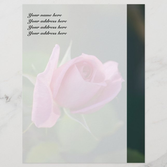 Rosa Pink Briefkopf (Vorderseite)