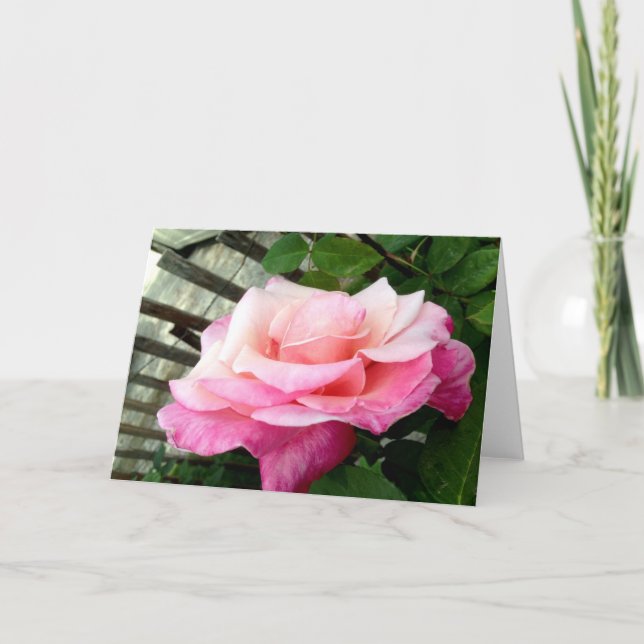 Rosa Pink Karte (Vorderseite)